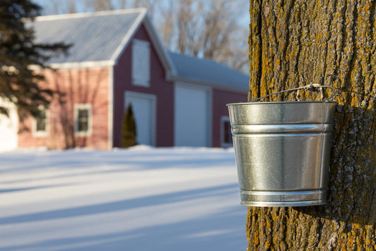 Ever wonder how much maple syrup is made in Canada?