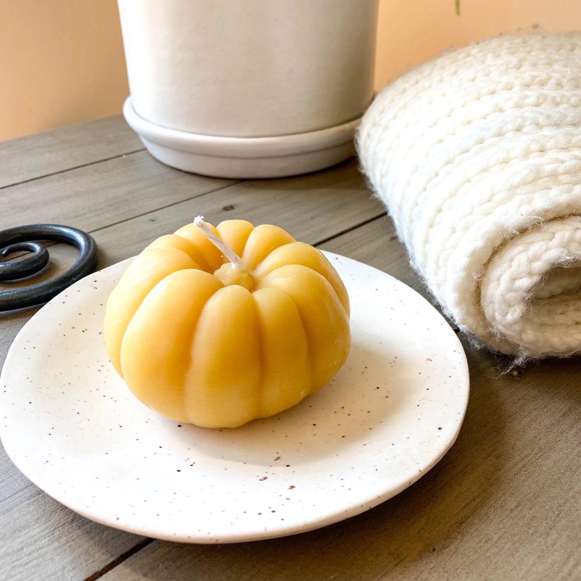 Large Pumpkin - Provisioned Co.