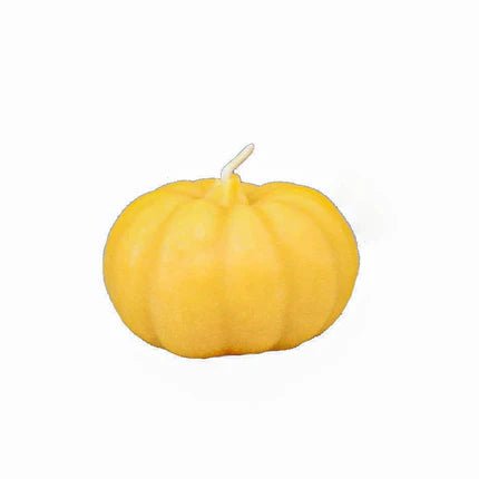 Small Pumpkin - Provisioned Co.